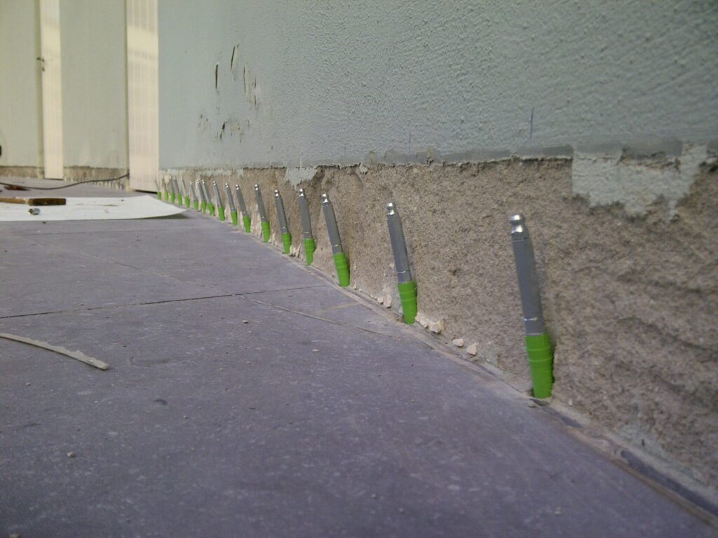 IMG-20111212-00081